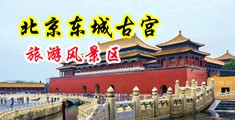 黑丝爆浆中国北京-东城古宫旅游风景区